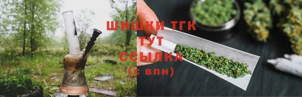 ГАЛЛЮЦИНОГЕННЫЕ ГРИБЫ Заволжье