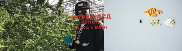 сатива Тобольск