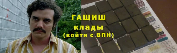 ГАЛЛЮЦИНОГЕННЫЕ ГРИБЫ Заволжье