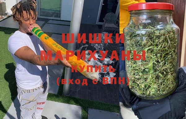 ГАЛЛЮЦИНОГЕННЫЕ ГРИБЫ Заволжье