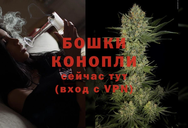 альфа пвп Заводоуковск