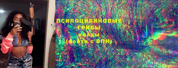 ГАЛЛЮЦИНОГЕННЫЕ ГРИБЫ Заволжье