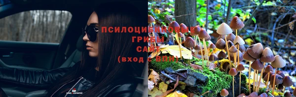 прущий лед Семёнов