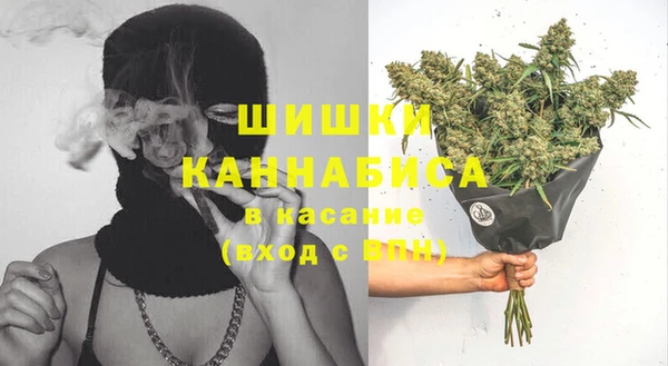 альфа пвп Заводоуковск