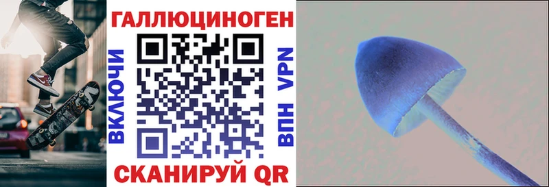 МЕГА рабочий сайт  Сланцы  Псилоцибиновые грибы мицелий  продажа наркотиков 