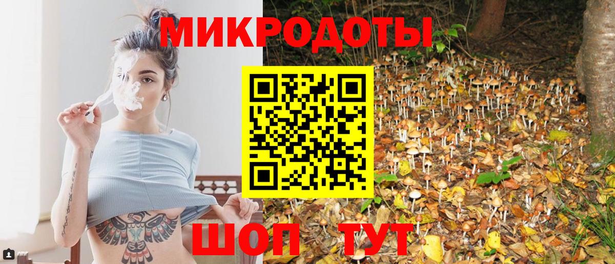 Псилоцибиновые грибы Psilocybine cubensis  Вход с VPN  цена   Сланцы  Псилоцибиновые грибы мицелий 