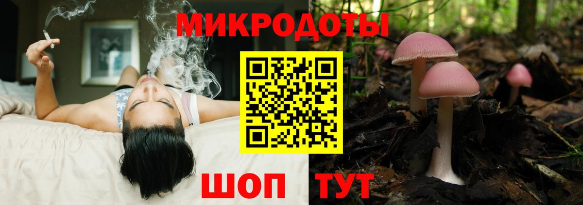 Галлюциногенные грибы Psilocybine cubensis Сланцы